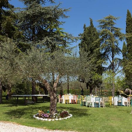 Bed&Breakfast Il Frantoio Misano Adriatico Exterior photo